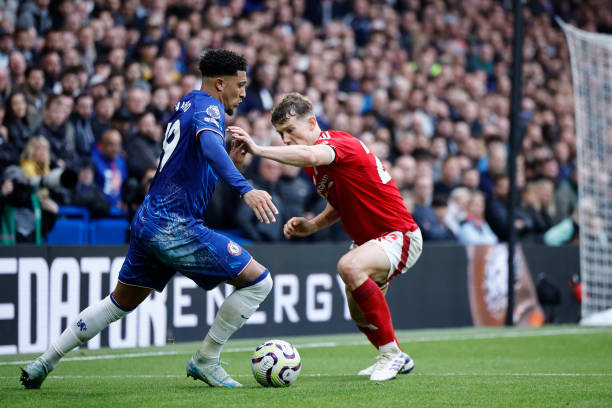 年轻内线杨 年轻内线杨