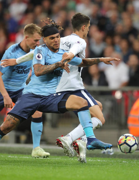 组织了悼念 组织了悼念